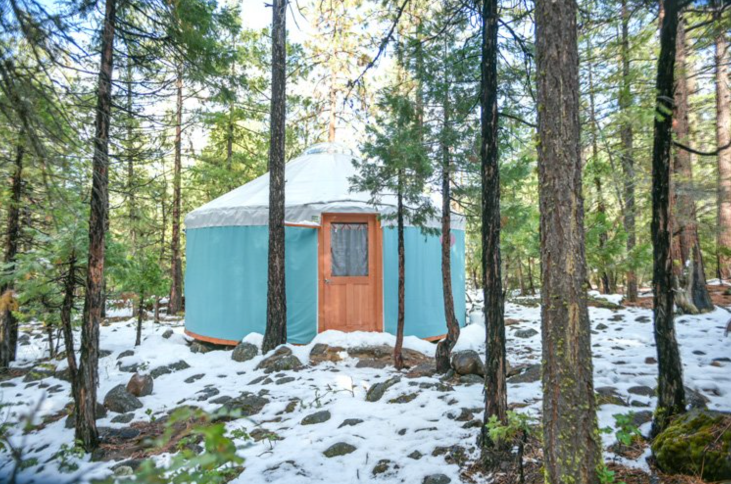 Shared Orion's Belt Yurt