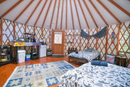 Shared Orion's Belt Yurt